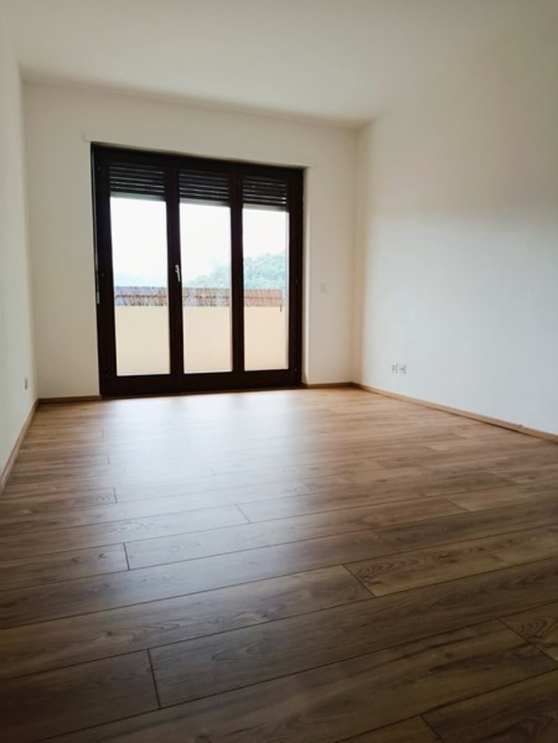 Affittiamo appartamento 2.5 locali con camino a Caslano (3)