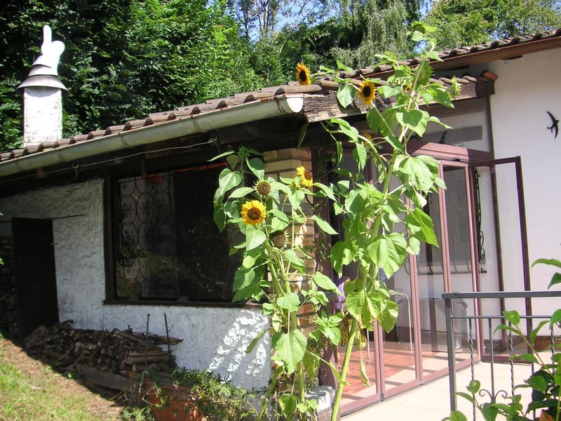 Casa bifamiliare a Carona (3)
