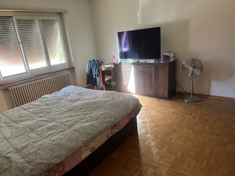Appartamento 1.5 locali (ca. 42 m2) al PT (3)