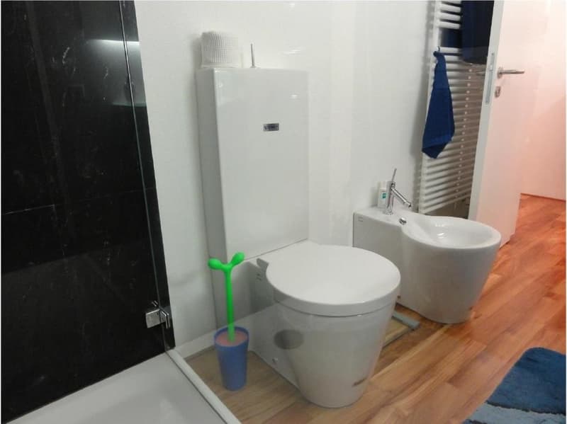 Aldesago - in vendita appartamento ristrutturato, 2½ locali, CHF. 795.000 (8)