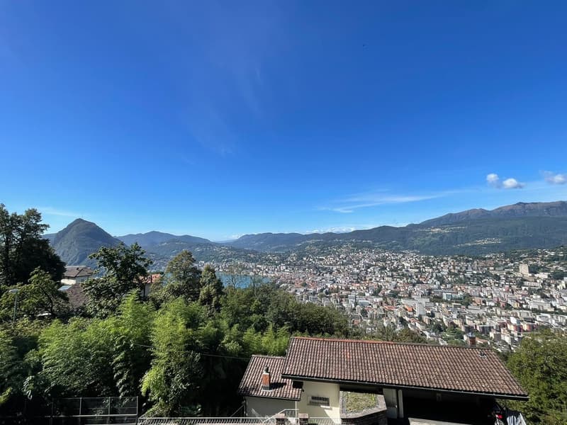 Aldesago - in vendita appartamento ristrutturato, 2½ locali, CHF. 795.000 (1)