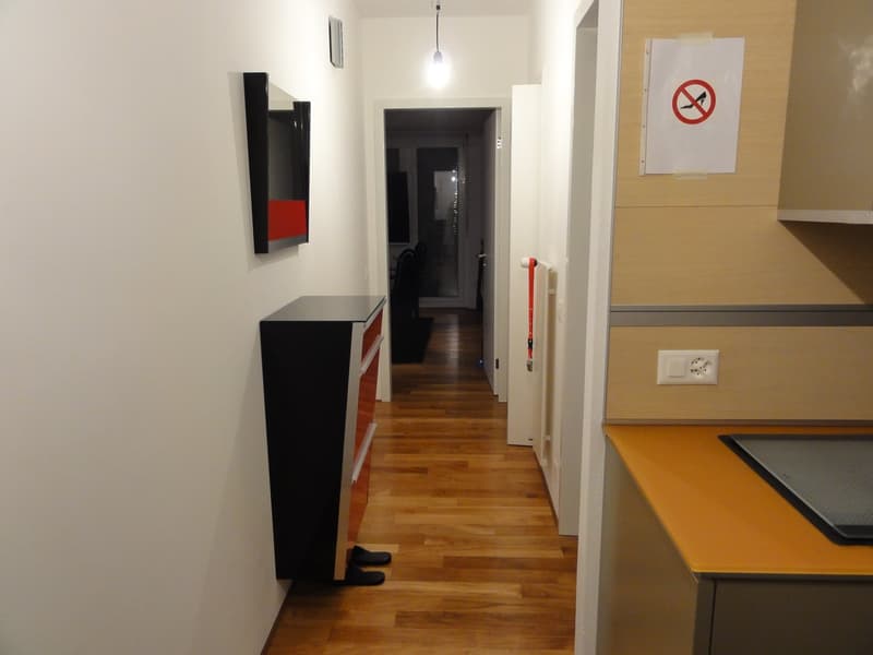Aldesago - in vendita appartamento ristrutturato, 2½ locali, CHF. 795.000 (4)