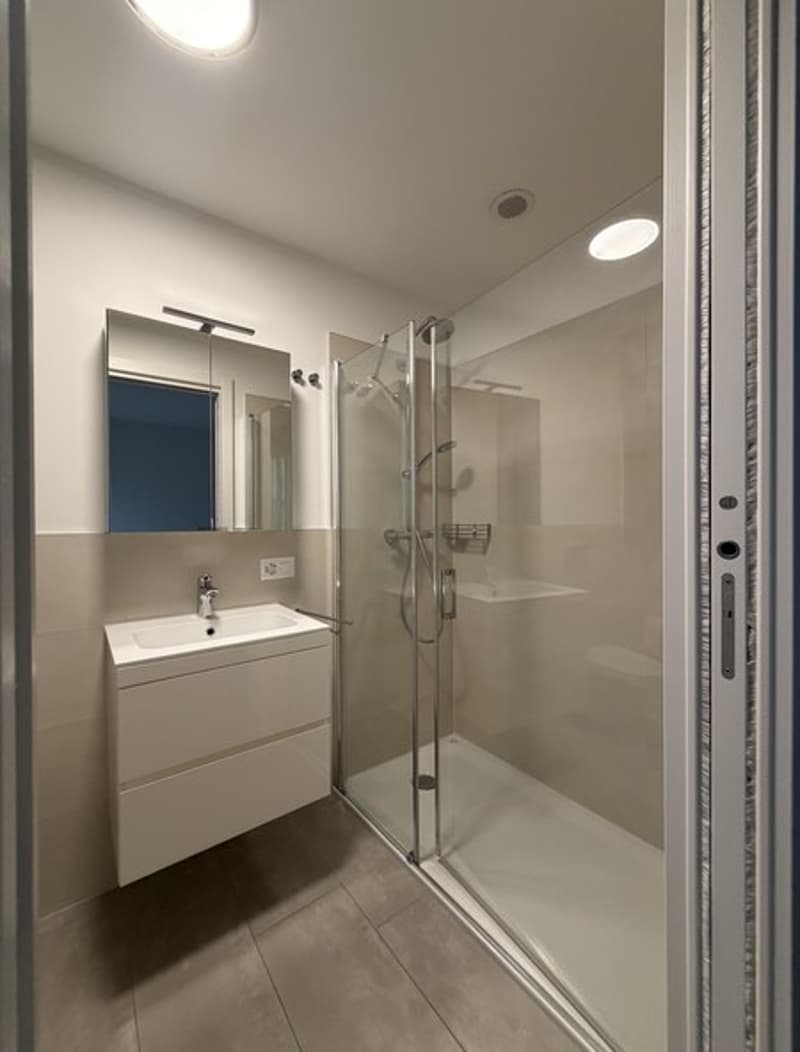 Elegante appartamento di 3.5 locali con vista lago (6)