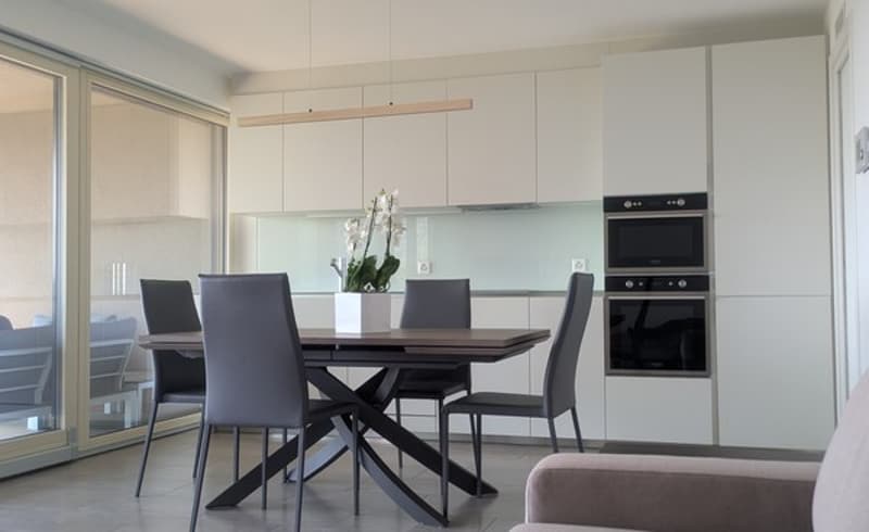 Elegante appartamento arredato di 3.5 locali con vista lago (3)