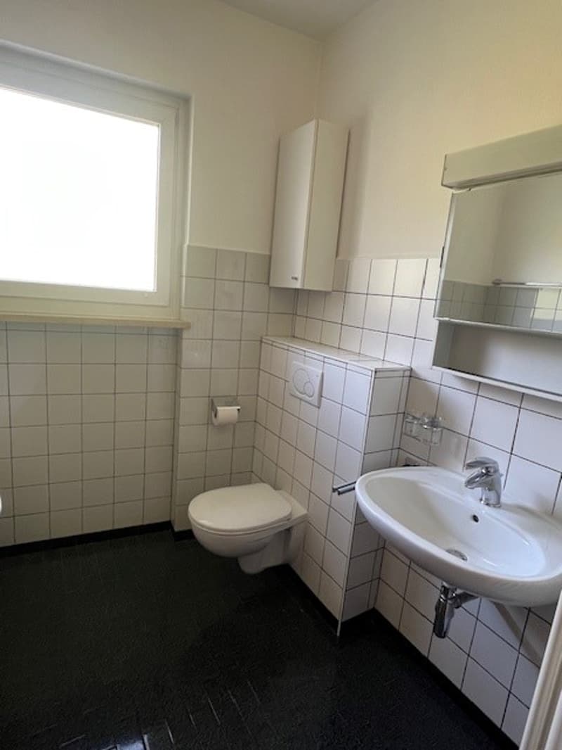 Appartamento 3 locali - possibilità di assumere le mansioni di portineria (9)