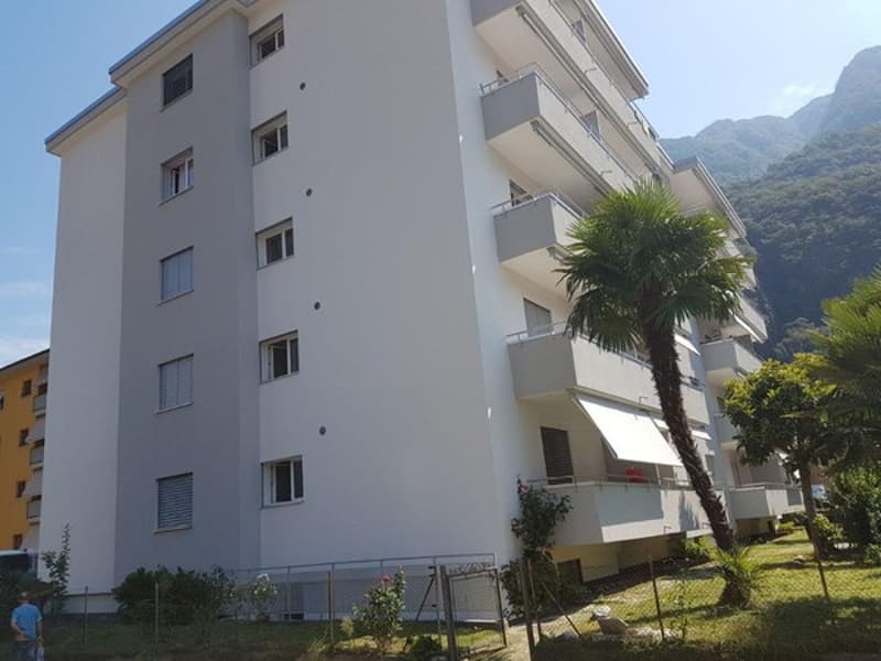 Cerchiamo subentrante per appartamento 2.5 locali (1)