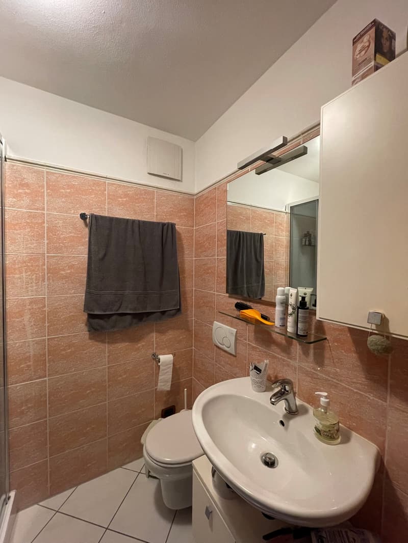 Affittiamo bellissimo e ampio 4.5 locali (9)