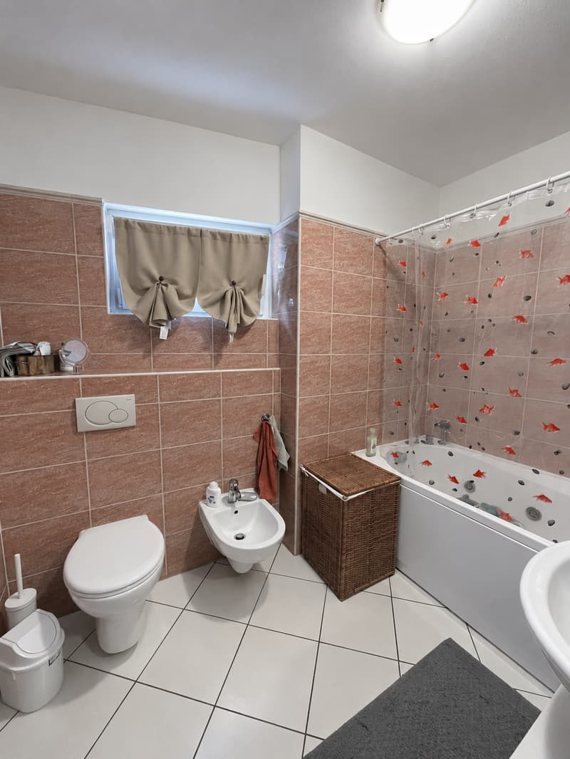 Affittiamo bellissimo e ampio 4.5 locali (10)