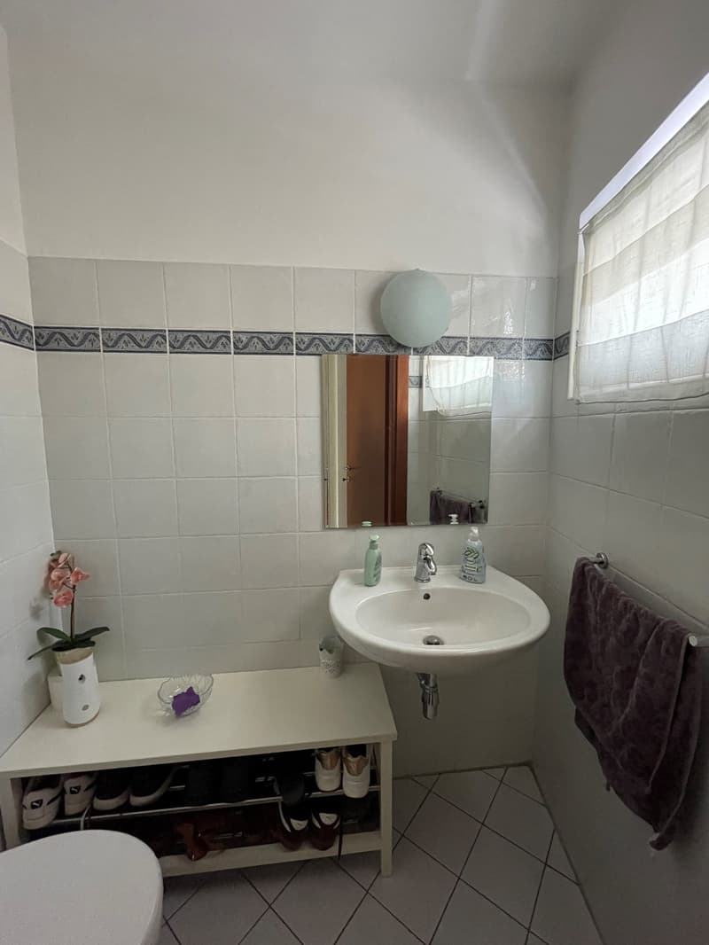 Affittiamo bellissimo e ampio 4.5 locali (11)