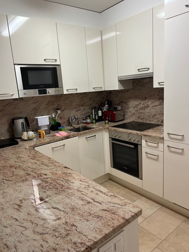 Residence Centro Cadro Panoramica - Appartamento 3.5 locali (3)
