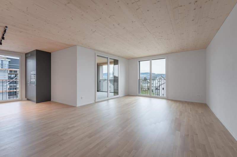 3.5 Zimmerwohnung in Uster (3)
