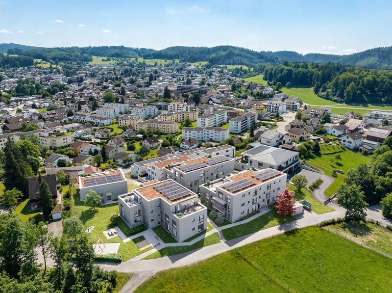 Wohnen mit Aussicht - Brisenwiese Seon (7)