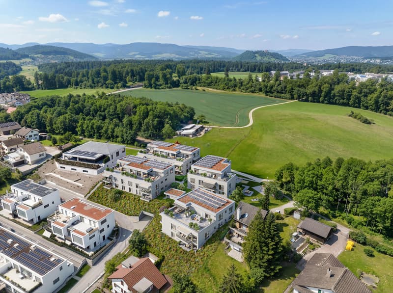 Wohnen mit Aussicht - Brisenwiese Seon (2)