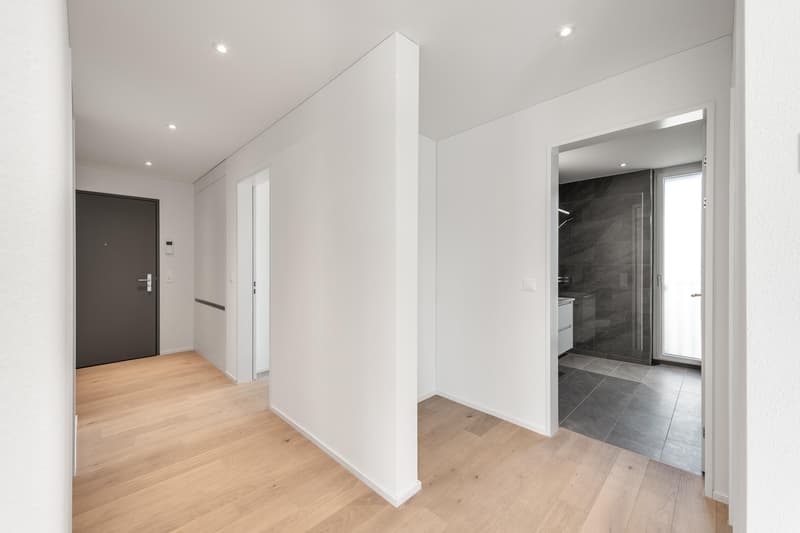 3.5 Zimmerwohnung in Zürich (3)