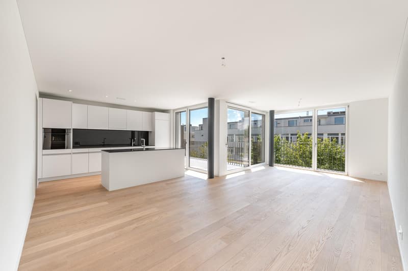3.5 Zimmerwohnung in Zürich (2)
