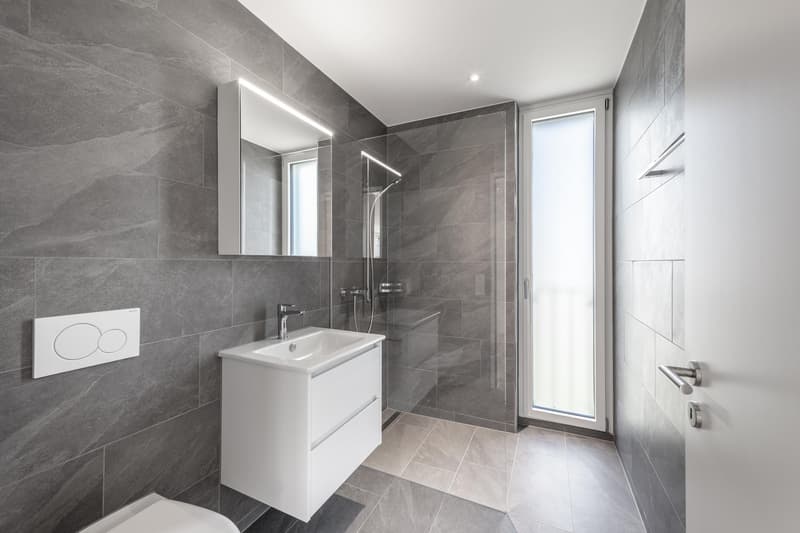 3.5 Zimmerwohnung in Zürich (4)