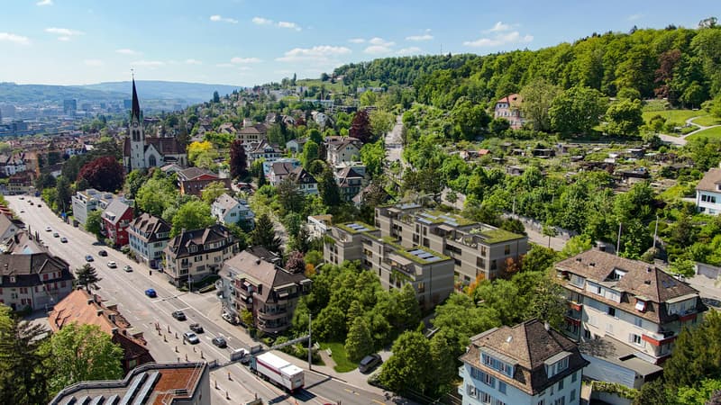 2.5 Zimmerwohnung in Zürich (2)