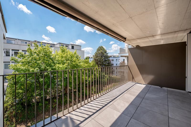 3.5 Zimmerwohnung in Zürich (8)