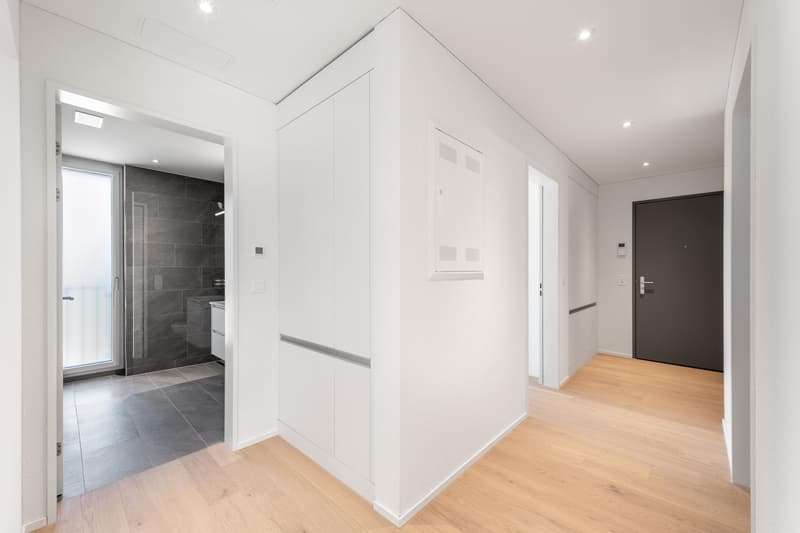 3.5 Zimmerwohnung in Zürich (4)