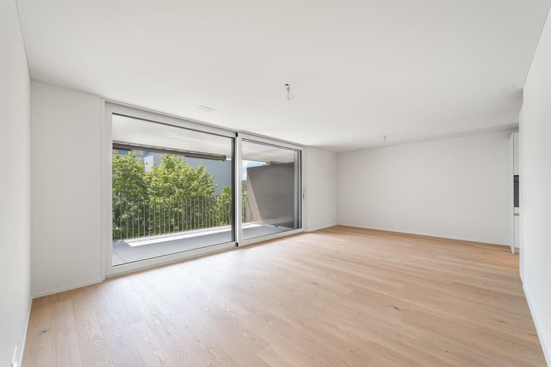 3.5 Zimmerwohnung in Zürich (3)