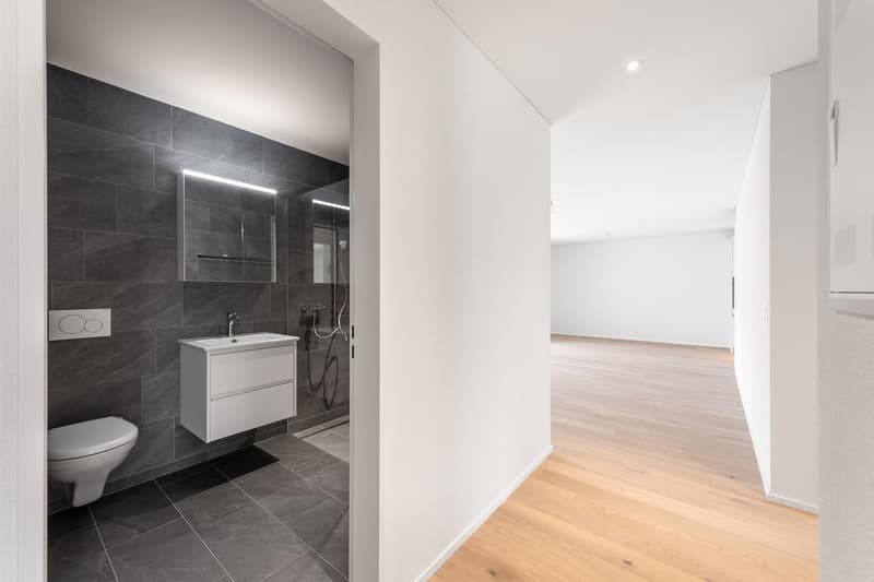 3.5 Zimmerwohnung in Zürich (5)