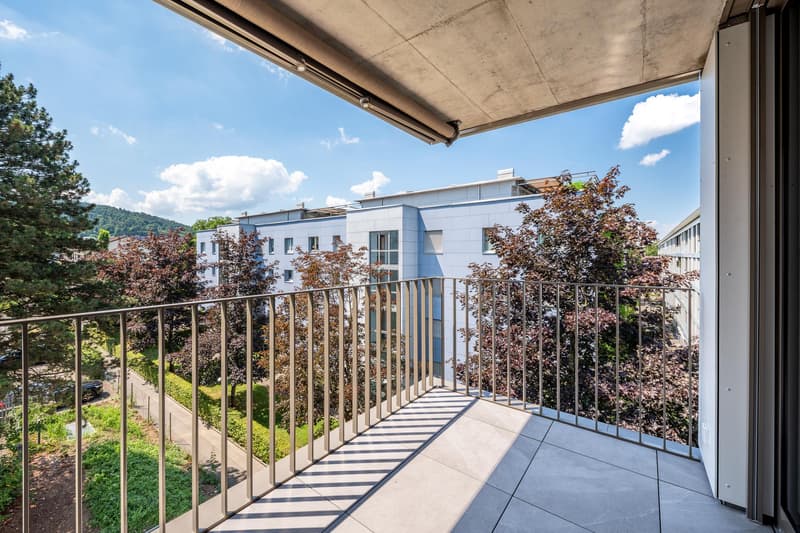 3.5 Zimmerwohnung in Zürich (9)