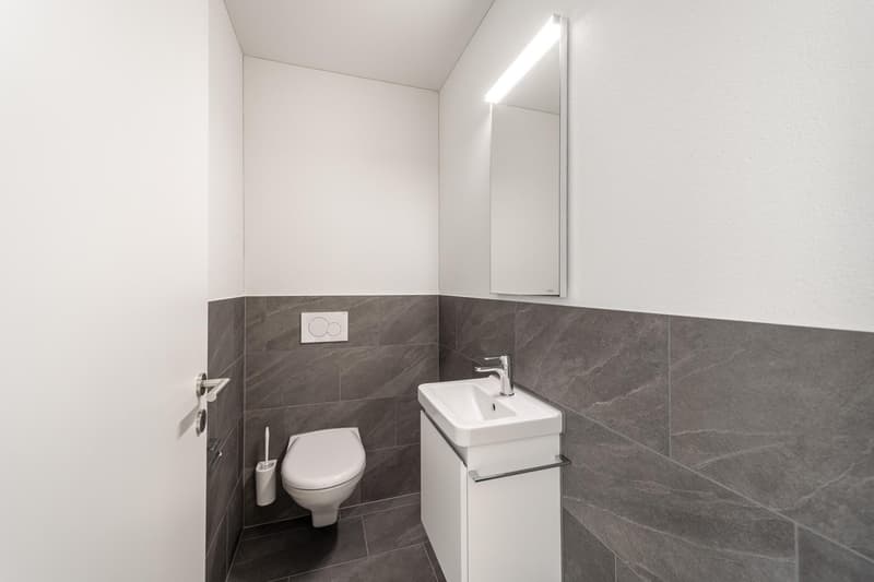 3.5 Zimmerwohnung in Zürich (7)
