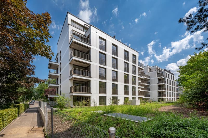 3.5 Zimmerwohnung in Zürich (2)