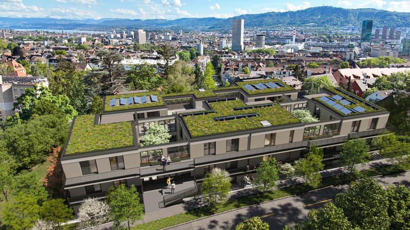 3.5 Zimmerwohnung in Zürich (5)