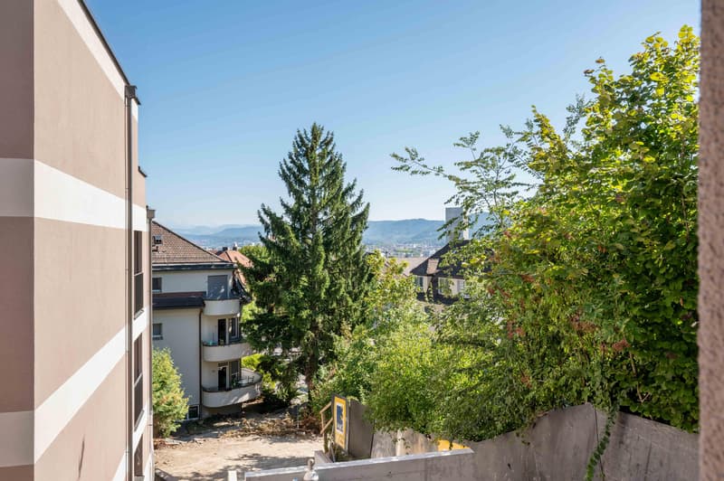 3.5 Zimmerwohnung in Zürich (2)