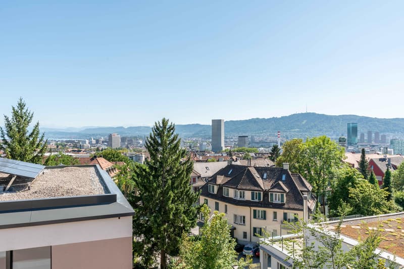 2.5 Zimmerwohnung in Zürich (2)