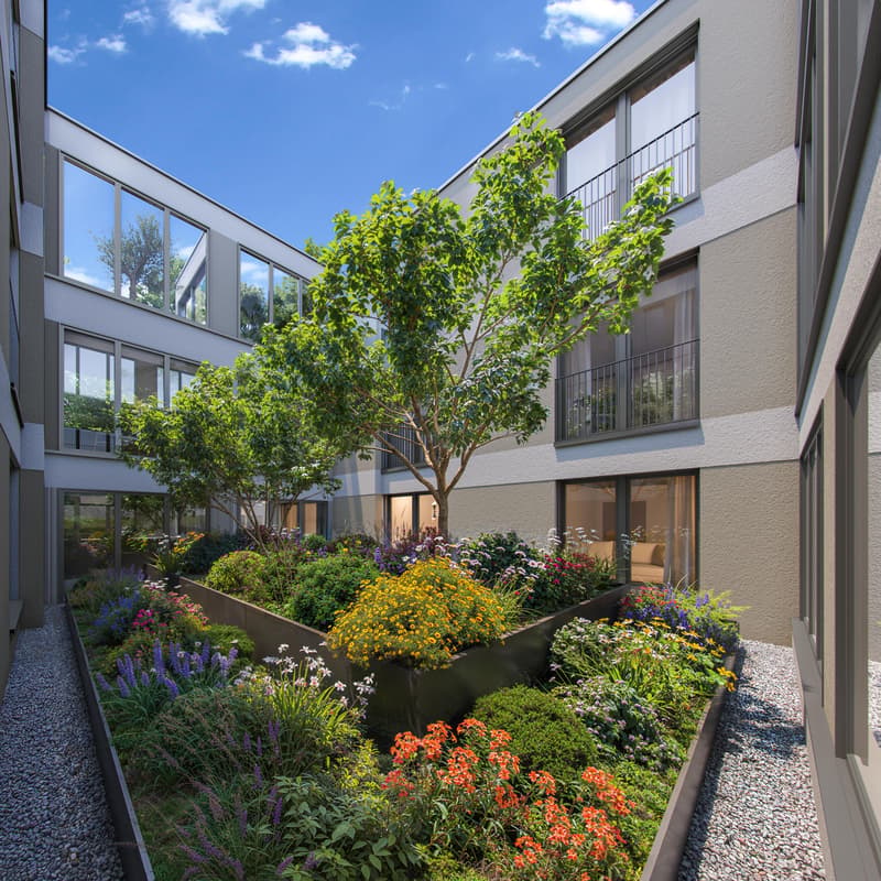 5.5 Zimmerwohnung in Zürich (4)