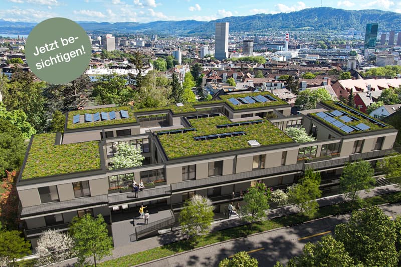 5.5 Zimmerwohnung in Zürich (1)