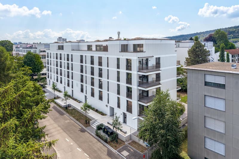 1.5 Zimmerwohnung in Zürich (1)