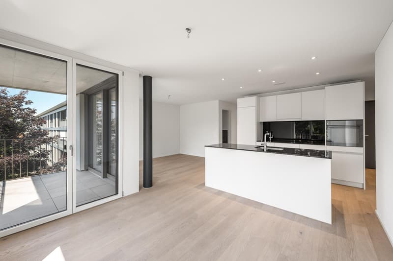 3.5 Zimmerwohnung in Zürich (6)