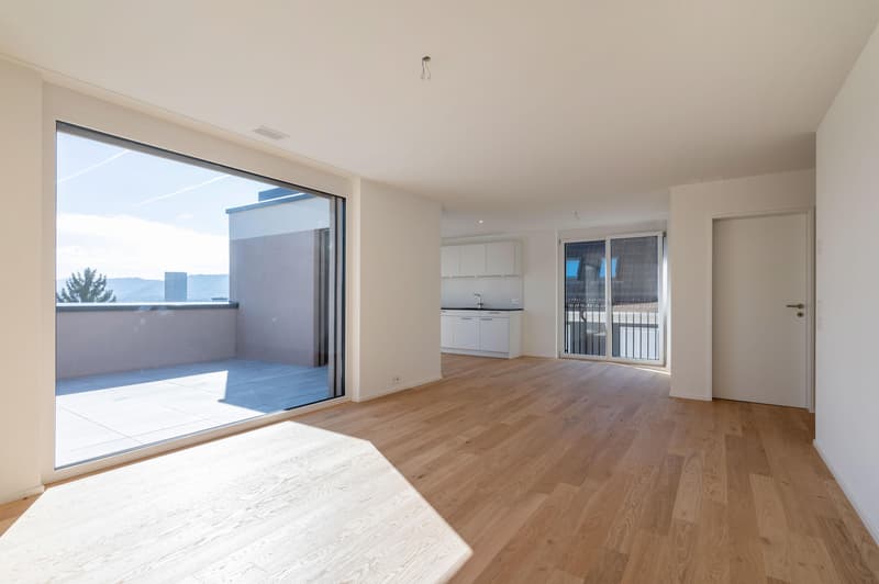 2.5 Zimmerwohnung in Zürich (3)