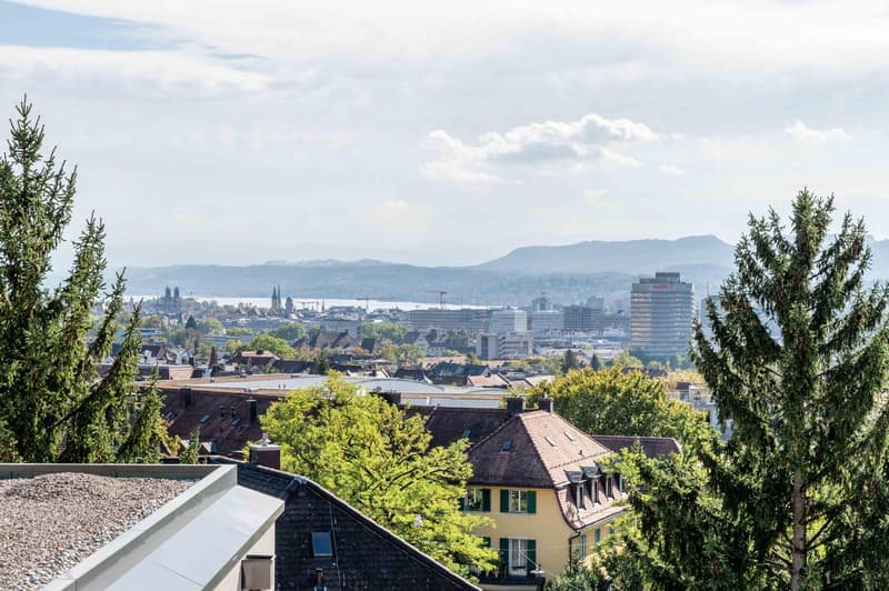 2.5 Zimmerwohnung in Zürich (4)