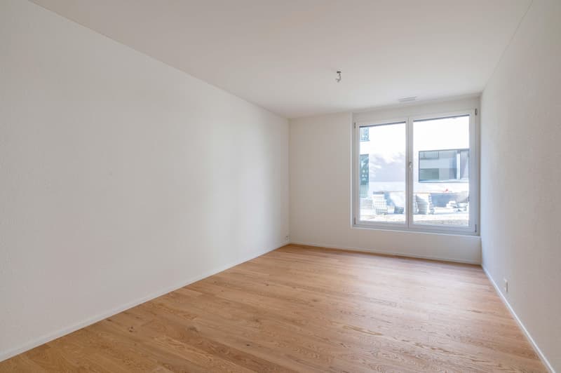 4.5 Zimmerwohnung in Zürich (5)