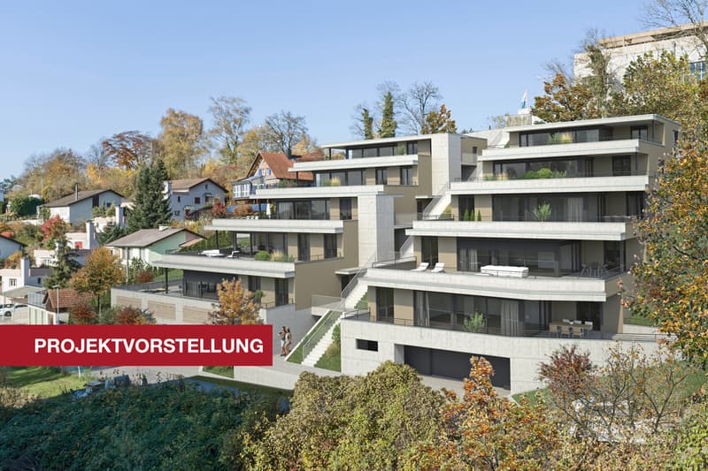 Aussenvisualisierung