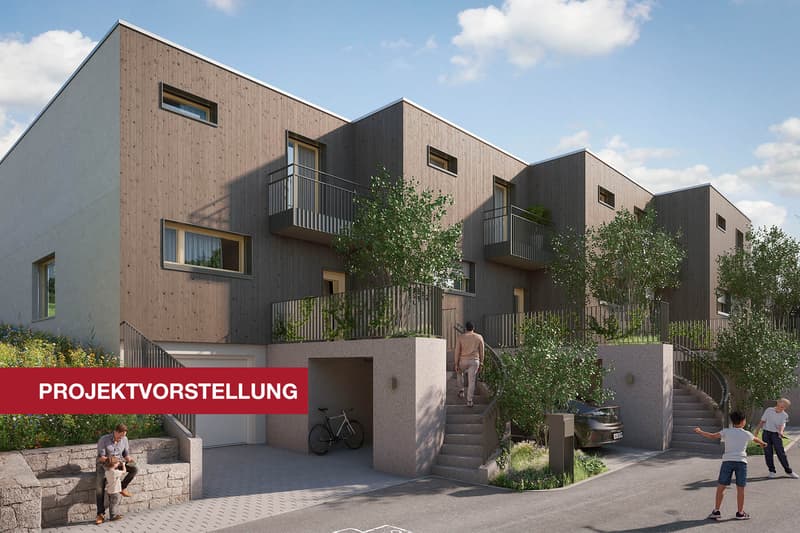 Winterthur_Projektorstellung3.jpg