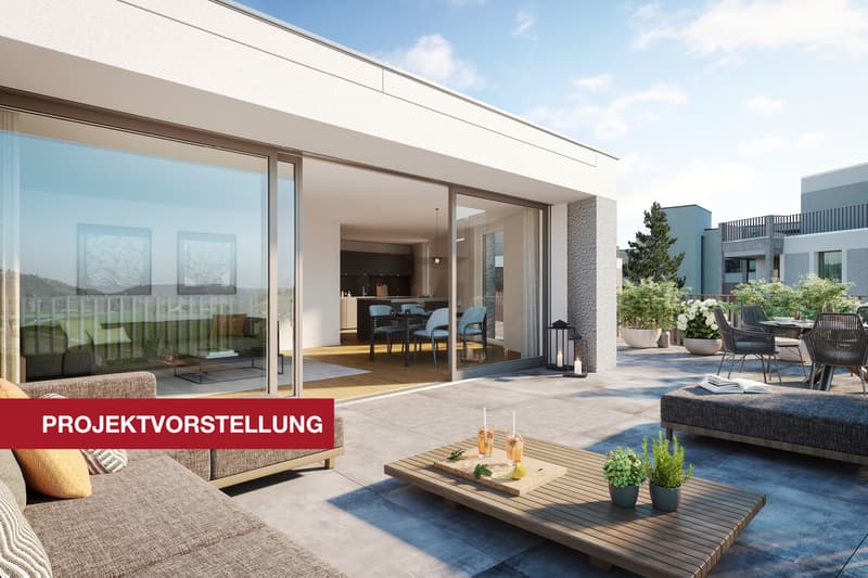 Visualisierung Terrasse Attika