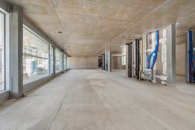 Gewerbeflächen EG