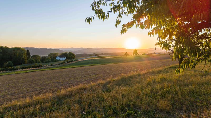 Abendstimmung