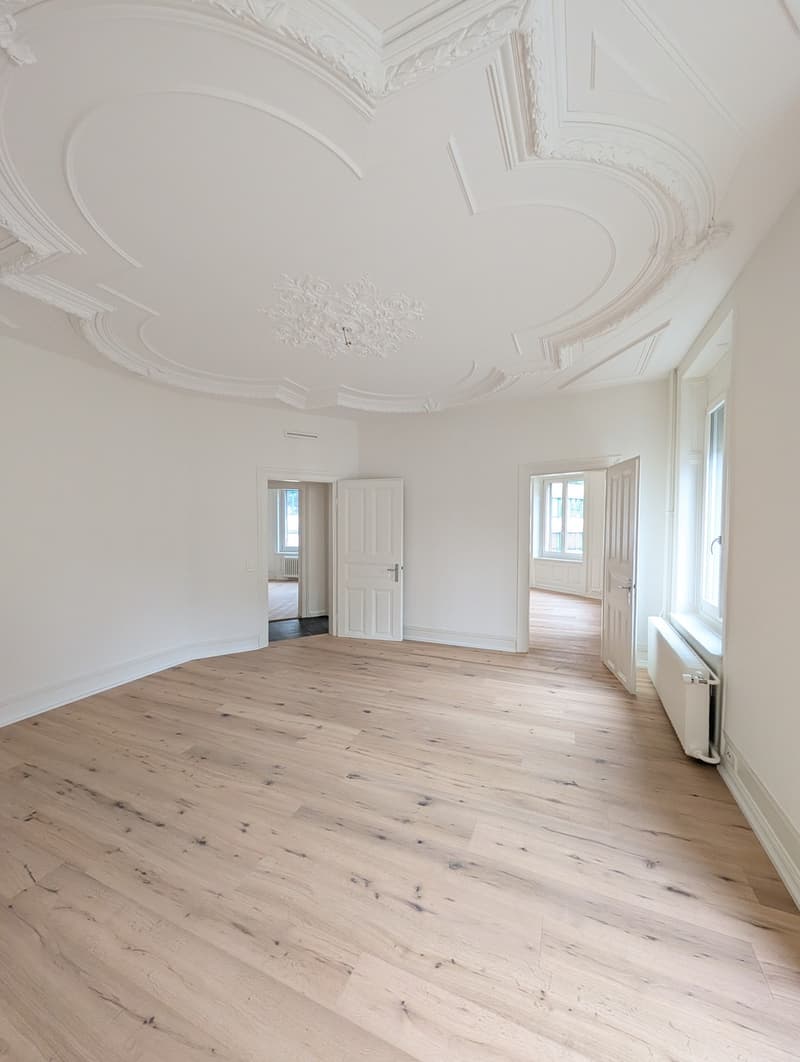Wunderschöne, hochwertig sanierte Wohnung an perfekter Lage direkt am Stauffacher (11)
