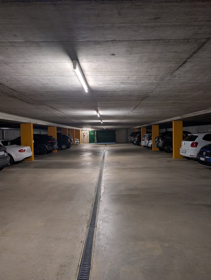 PXL_20260603_080637524