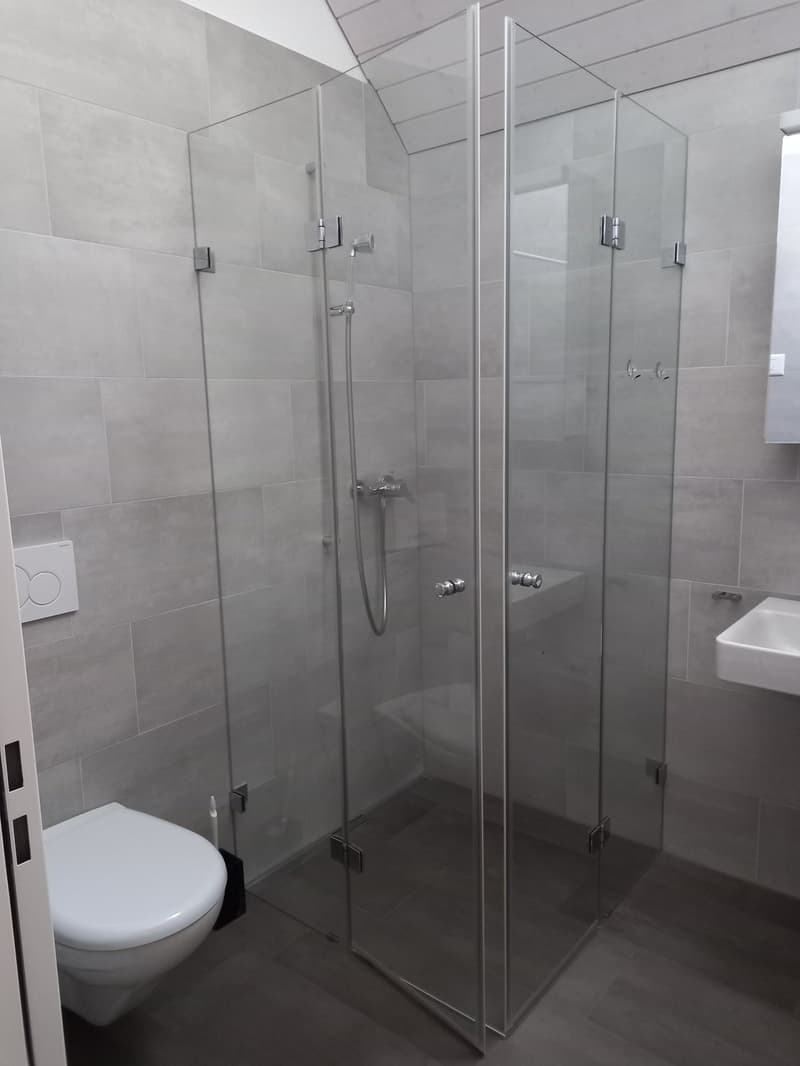 Dusche Birmensdorferstrasse 98