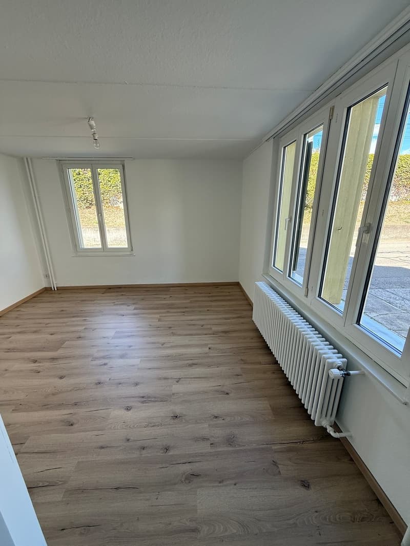 Zimmer1