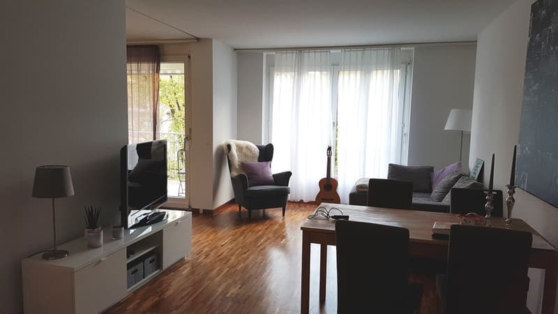 Moderne Wohnung in der Nähe des  Kantonsspitals sucht Sie! (4)