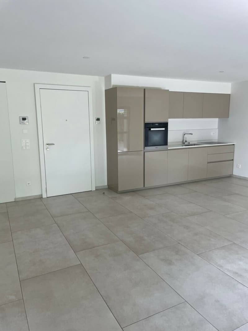 Affittasi Moderno monolocale con balcone a Lugano-Castagnola (3)