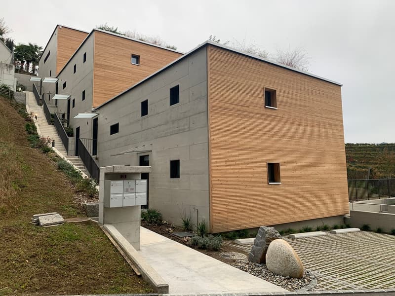 Eleganza, spazio e natura - affittasi 4.5 locali a Pura con vista vigneti e lago (4)